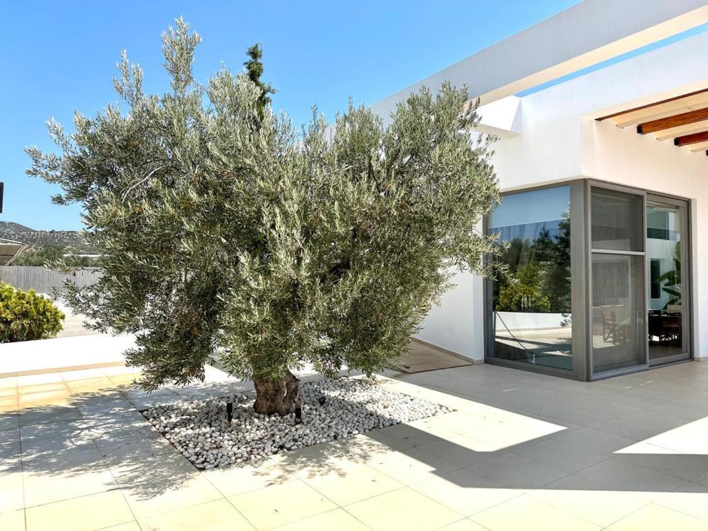 Leblanc Luxurious Beachfront Villa, Gcollectiongr Ерміоні Екстер'єр фото